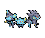 Shinx, Luxio & Luxray