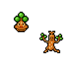 Bonsly & Sudowoodo