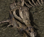 Dragon Bones