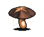 Shiitake