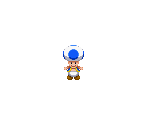 Toad (Blue)