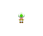 Toad (Green)