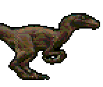 Velociraptor