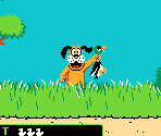 Duck Hunt