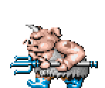 Pig Man