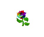 Rainbow Rose