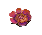 Gigant Rafflesia