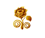 Golden Rose