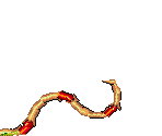 Earthworm