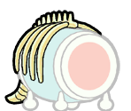 Fossil