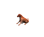 Dog 1