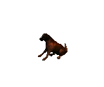 Dog 2