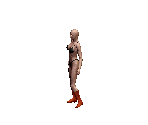 Female Boots 2