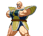 Nappa