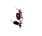 Skeleton with Sword & Shield