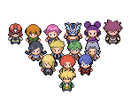 Gym Leaders & The Elite Four