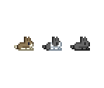 Bunnies