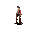 Cowgirl