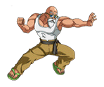 Master Roshi