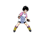 Videl