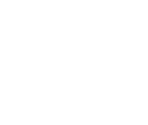 Fonts