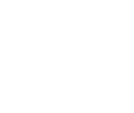 Fonts