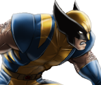Wolverine (Yellow & Blue)