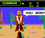 Wild Gunman