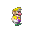 Wario