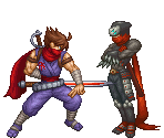 Strider Hiryu & Hotsuma