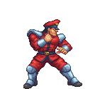 M. Bison