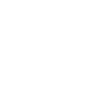 Fonts