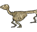 Skeleton Dog