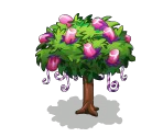 Mashmallow Tree