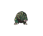 Gil Turtle