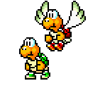 Koopa & Paratroopa