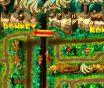 DK's Jungle Adventure