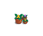 Pelican Town (Spring)
