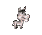 Donkey