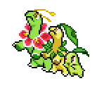 Chikorita, Bayleef & Meganium