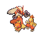 Torchic, Combusken & Blaziken