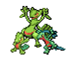 Treecko, Grovyle & Sceptile