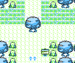 Viridian Forest