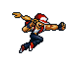 Terry Bogard