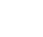 Fonts