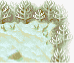 Frosty Forest