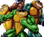 Portraits (Battletoads)