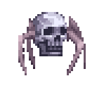 Spider Skull