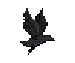 Bird (Black)