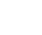 Fonts